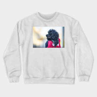 Yeah I'm going to look over here Crewneck Sweatshirt